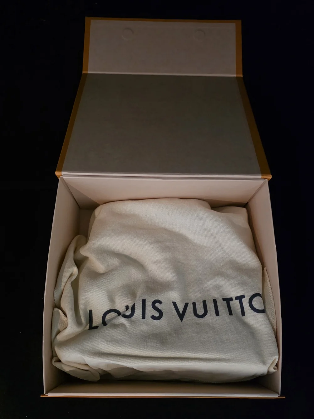 Louis Vuitton elegant top
